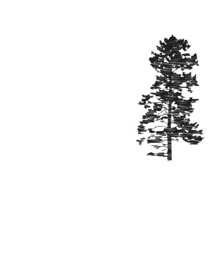 Le Mirador